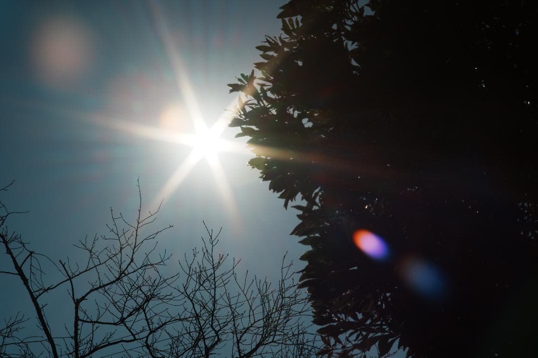 【整備＆テスト済】Minolta New MD 85mm F2 985