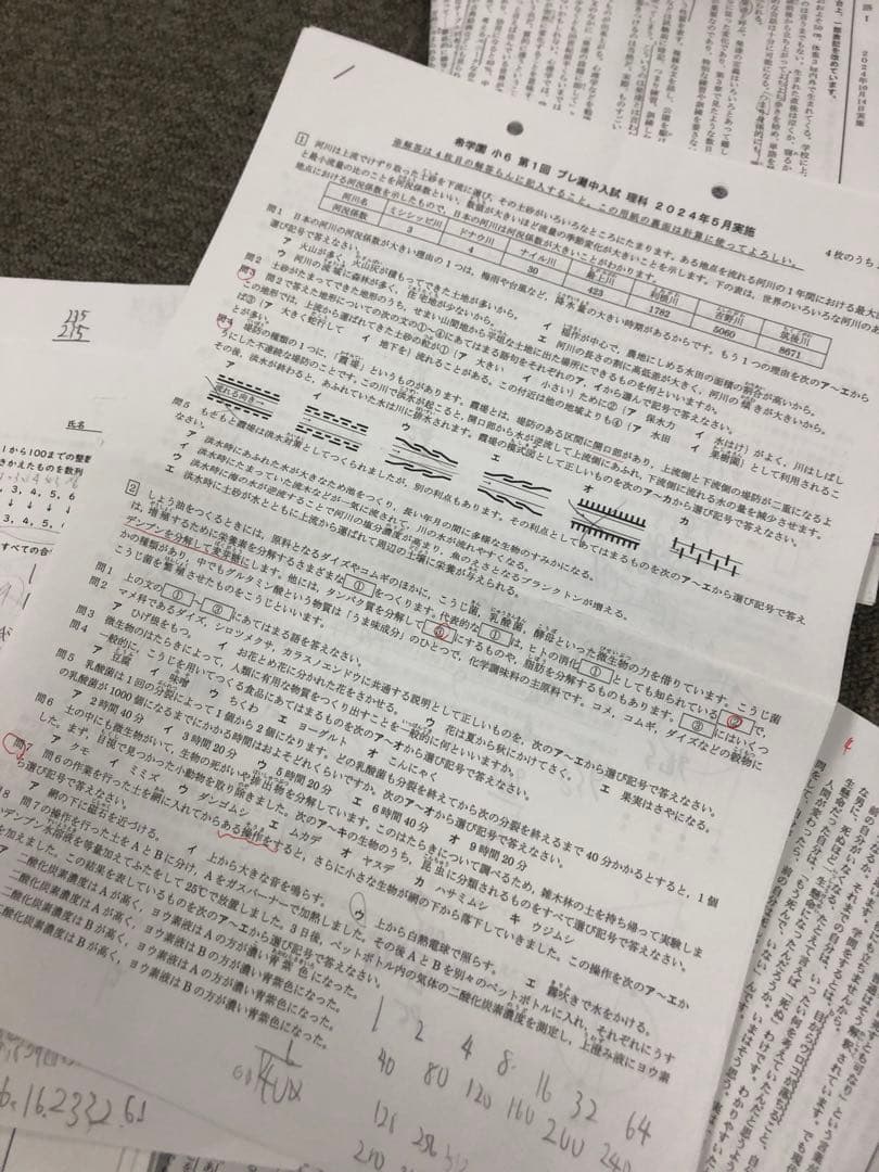 希学園　小６　灘中入試実戦テスト６回/プレ灘中入試２回　２０２４年度版　中古