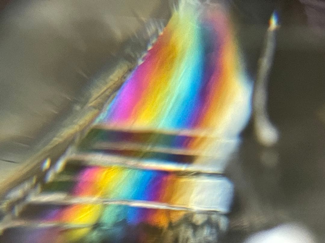 シトリン　巨大レコードキーパー群　神様の様なシトリン　トライゴーニック　アイリス