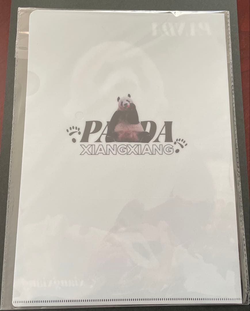 専用　　シャンシャン