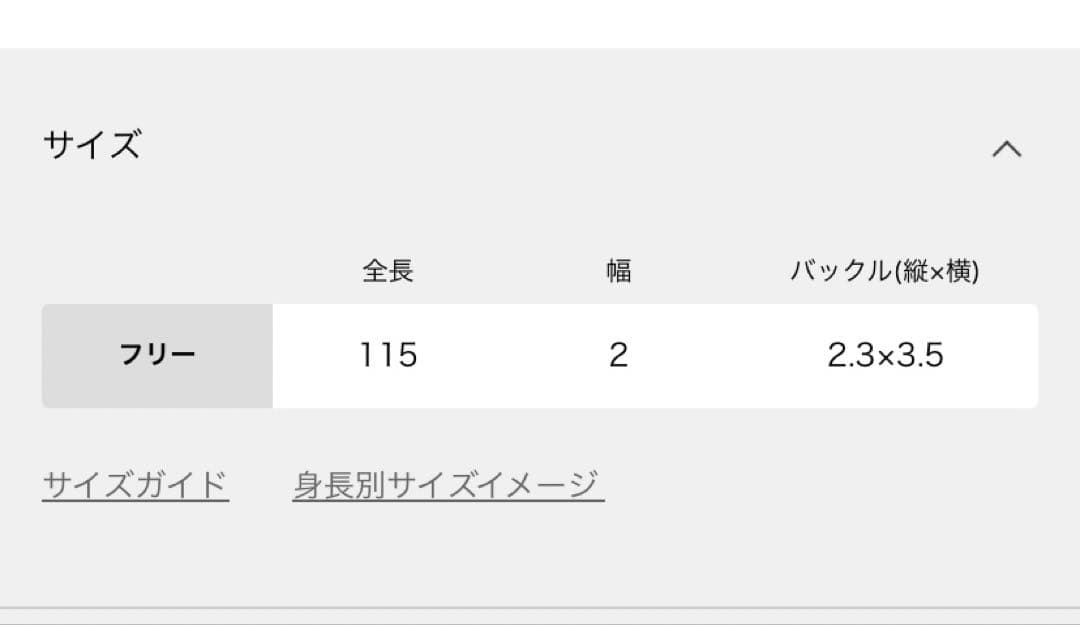 FRAMeWORK LEFIJE ガチャベルト 2CM silverバックル