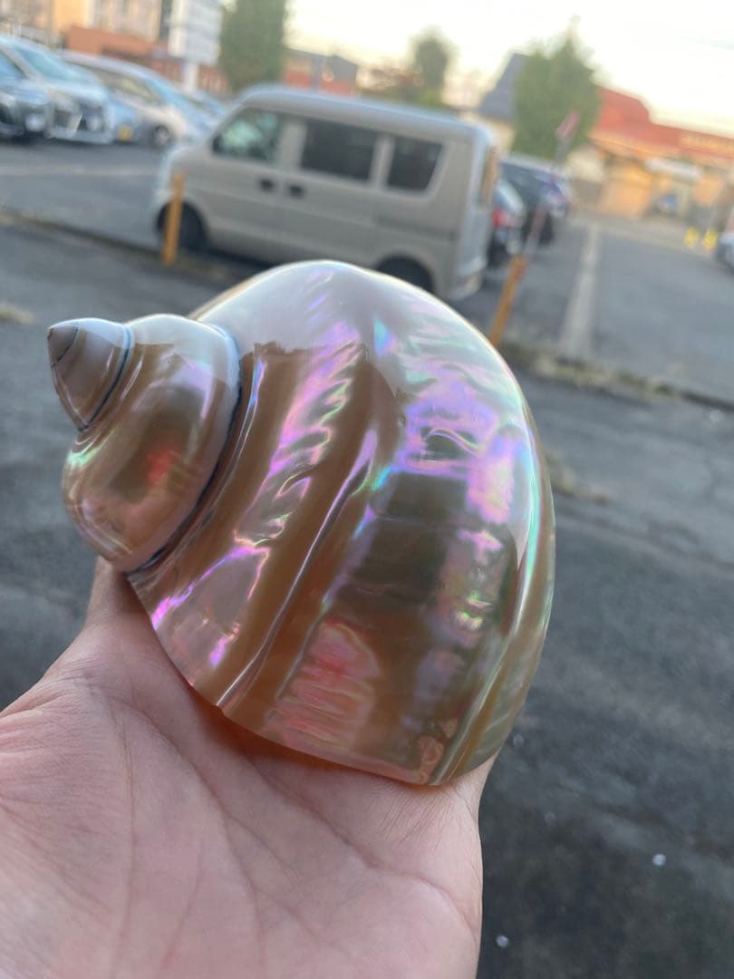 まとめ7点セット　専用ページ