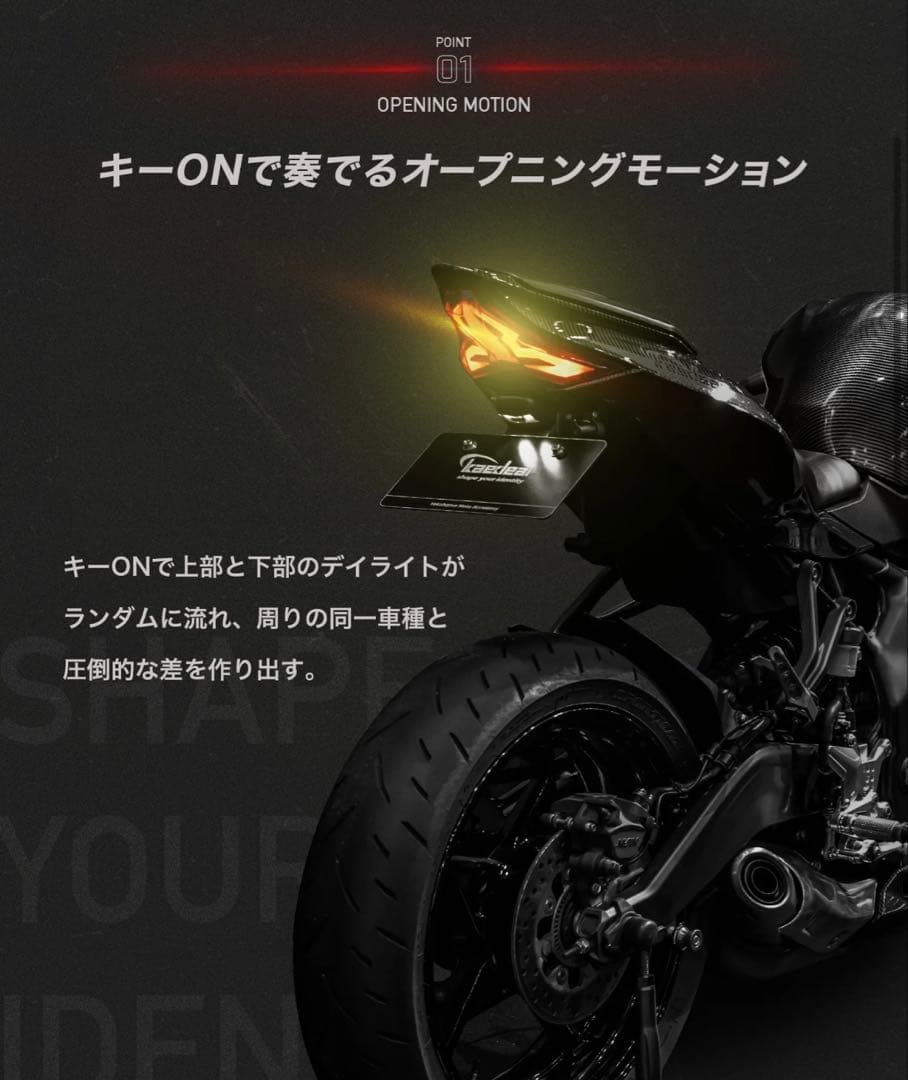 Ninja ZX-25R ninja400サイバーLED テールランプ
