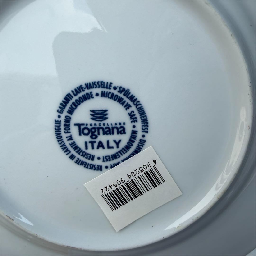 トニャーナ　イタリア製　磁器プレート皿　9枚セット