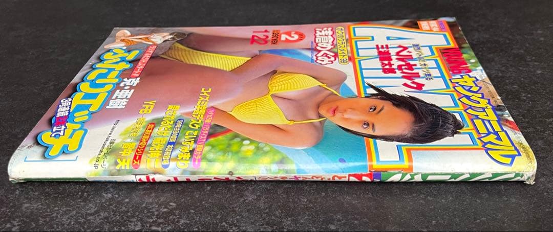 ●ヤングアニマル 1999年 No.2 ●ベルセルク 第134話 三浦建太郎