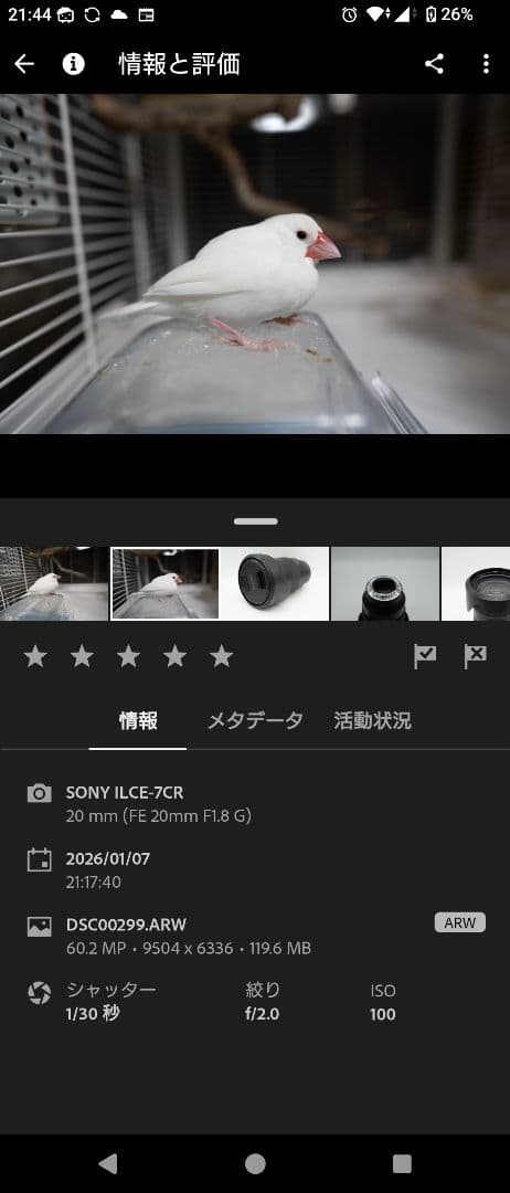 SONY FE 20mm F1.8 G レンズ【ma-san】