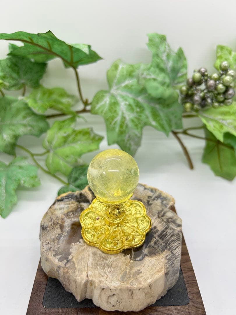 珪化木プレート　ペトリファイドウッド　No.901