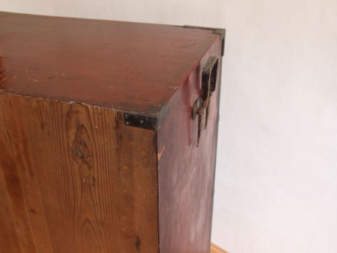 【アップルミント】