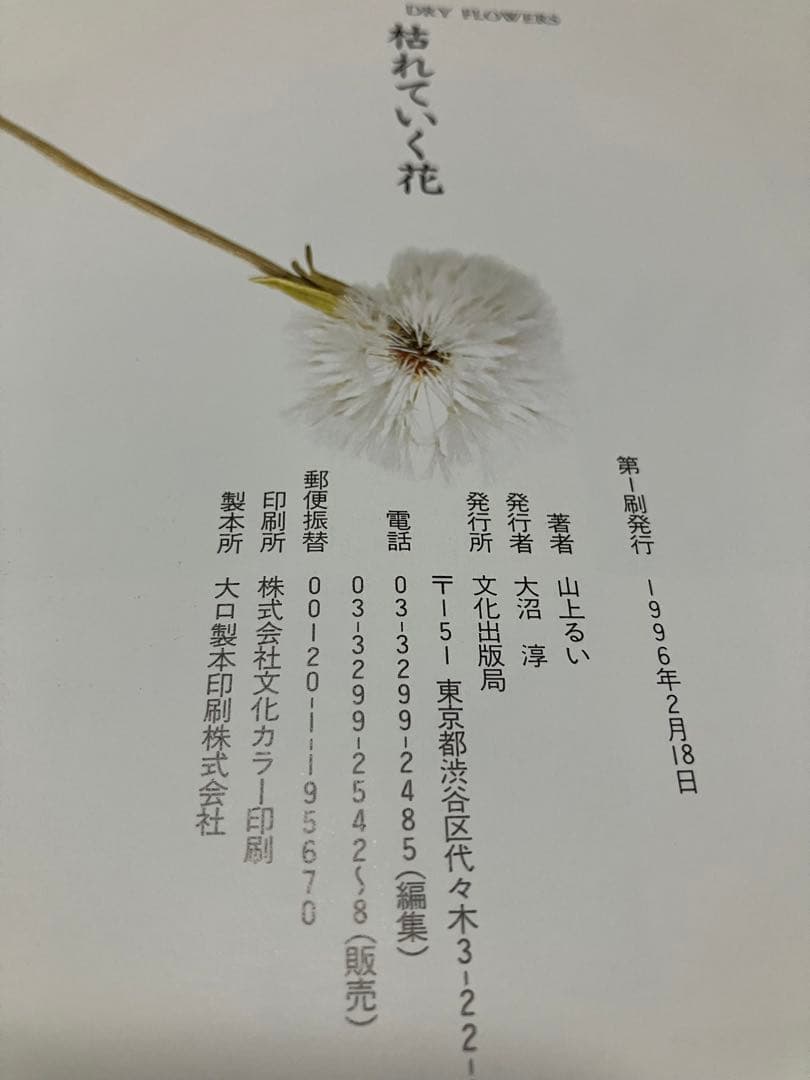 山上るい　遺作集　枯れていく花　初版