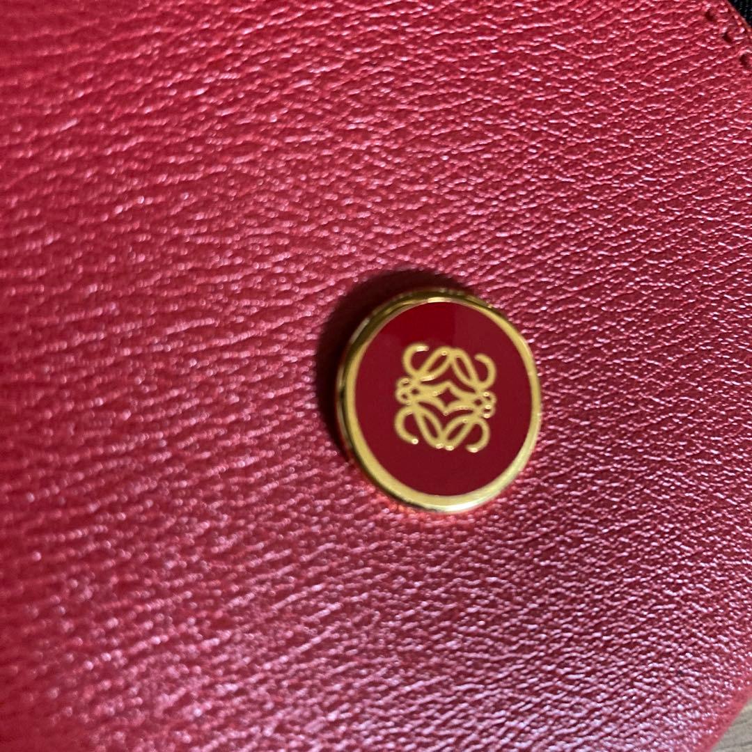 【美品】ロエベ　ケース