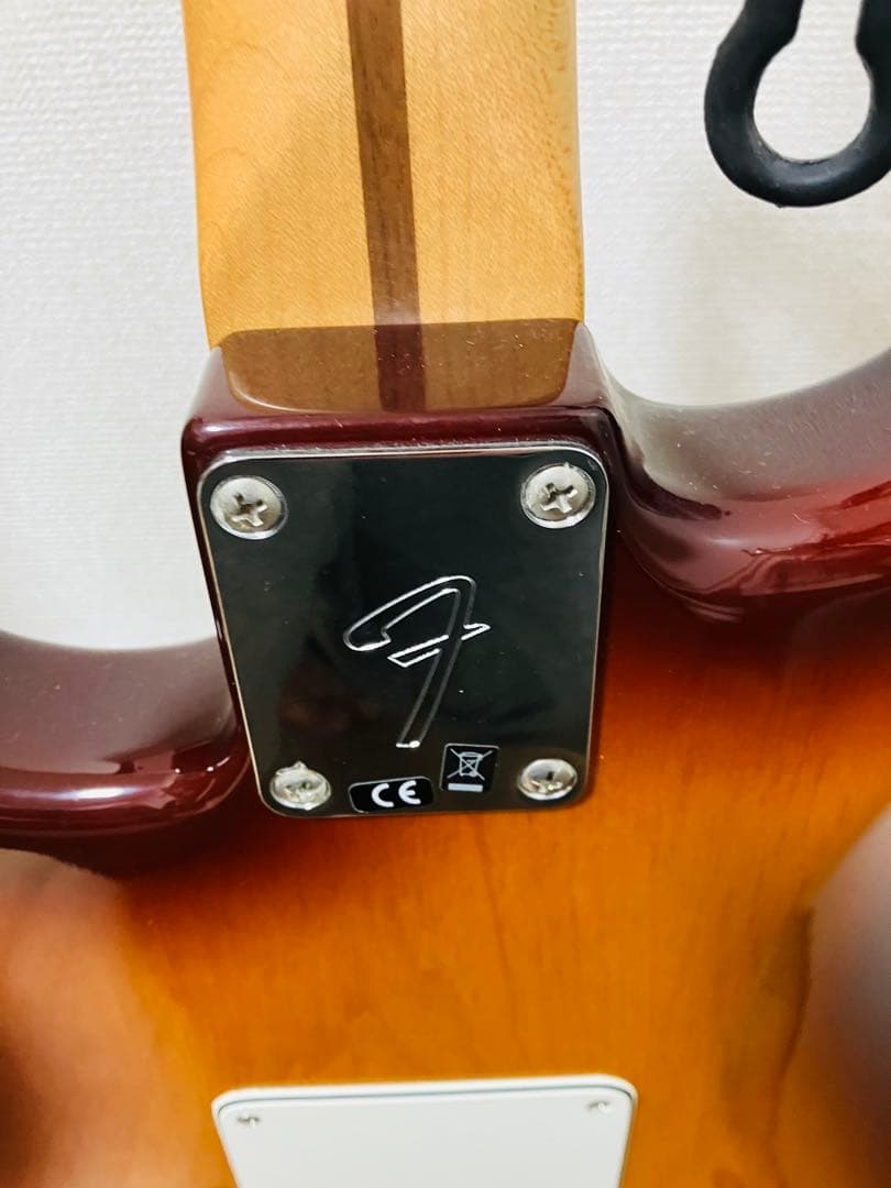 【monophonic様】FenderMexico player PlusTop