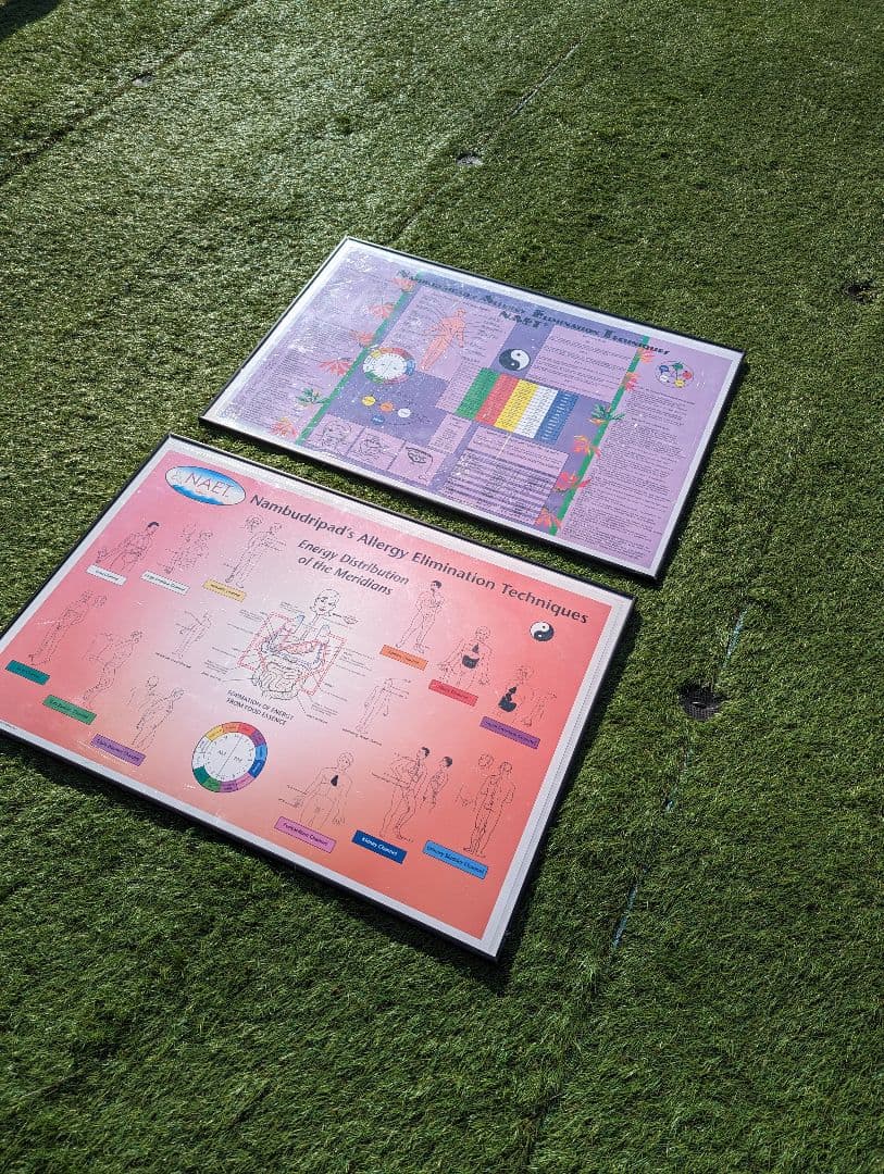 超希少！NAETアレルギー除去法オリジナルポスター