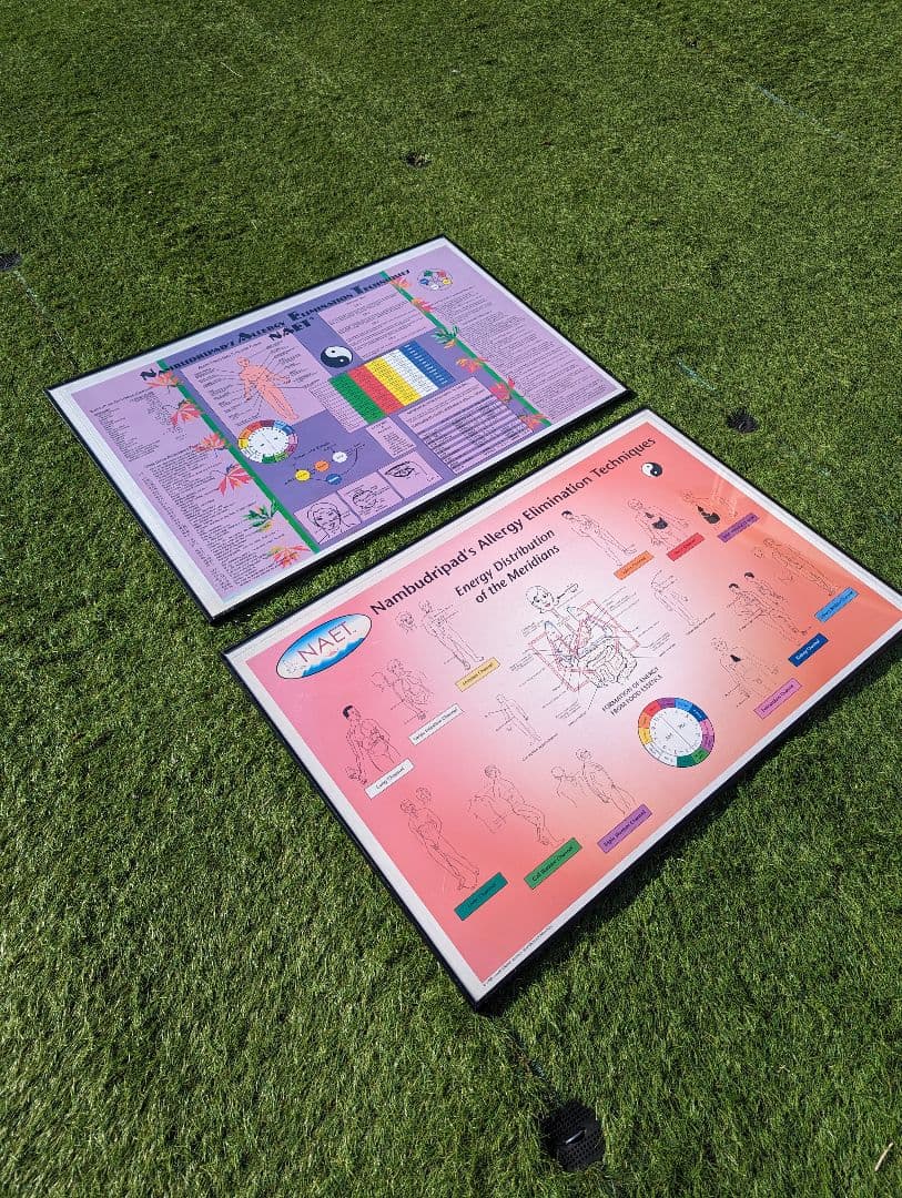 超希少！NAETアレルギー除去法オリジナルポスター