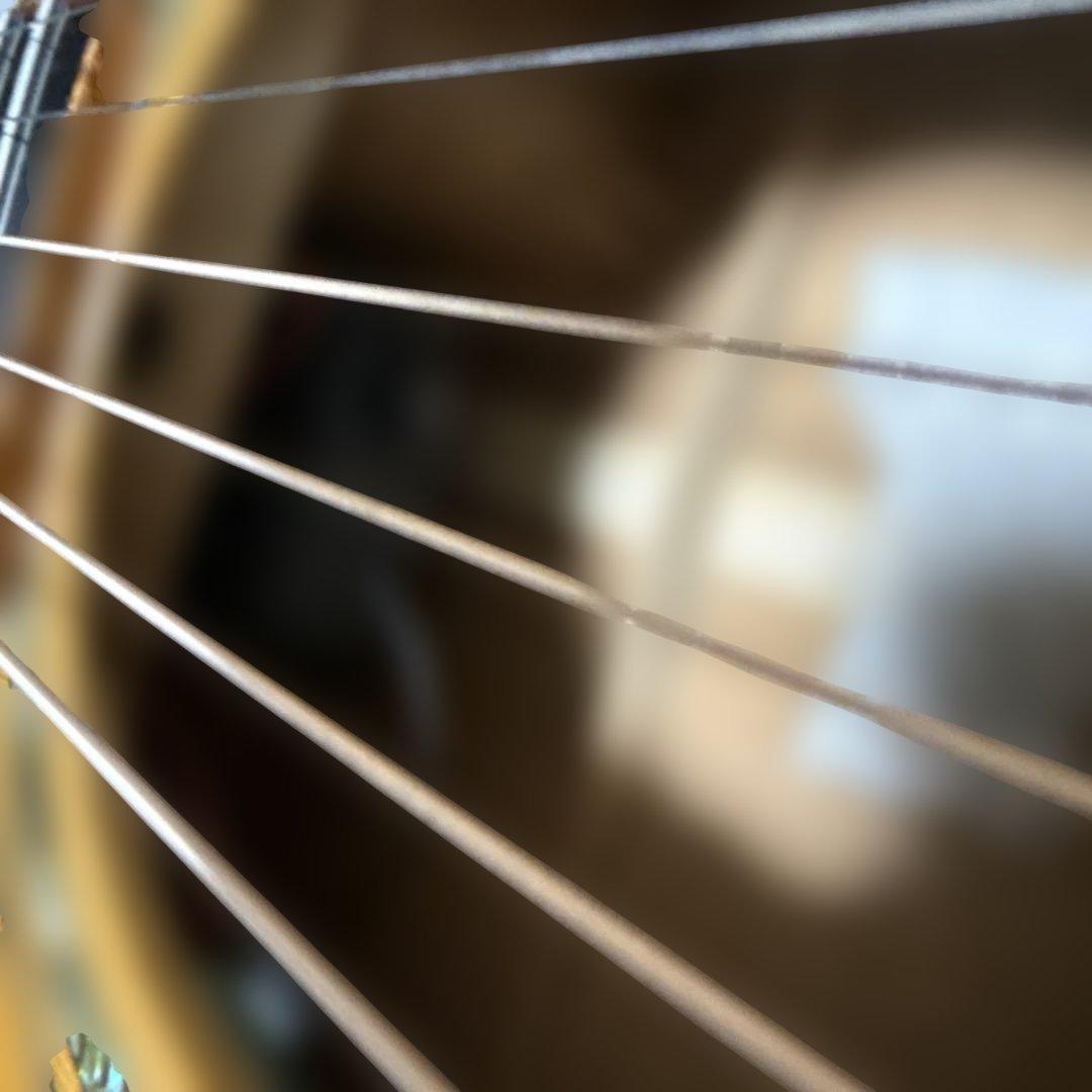 Morris SS-125Rアコースティックギター　ルシアーモデル