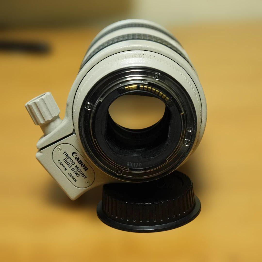Canon EF 70-200mm f/2.8L IS 望遠ズームレンズ