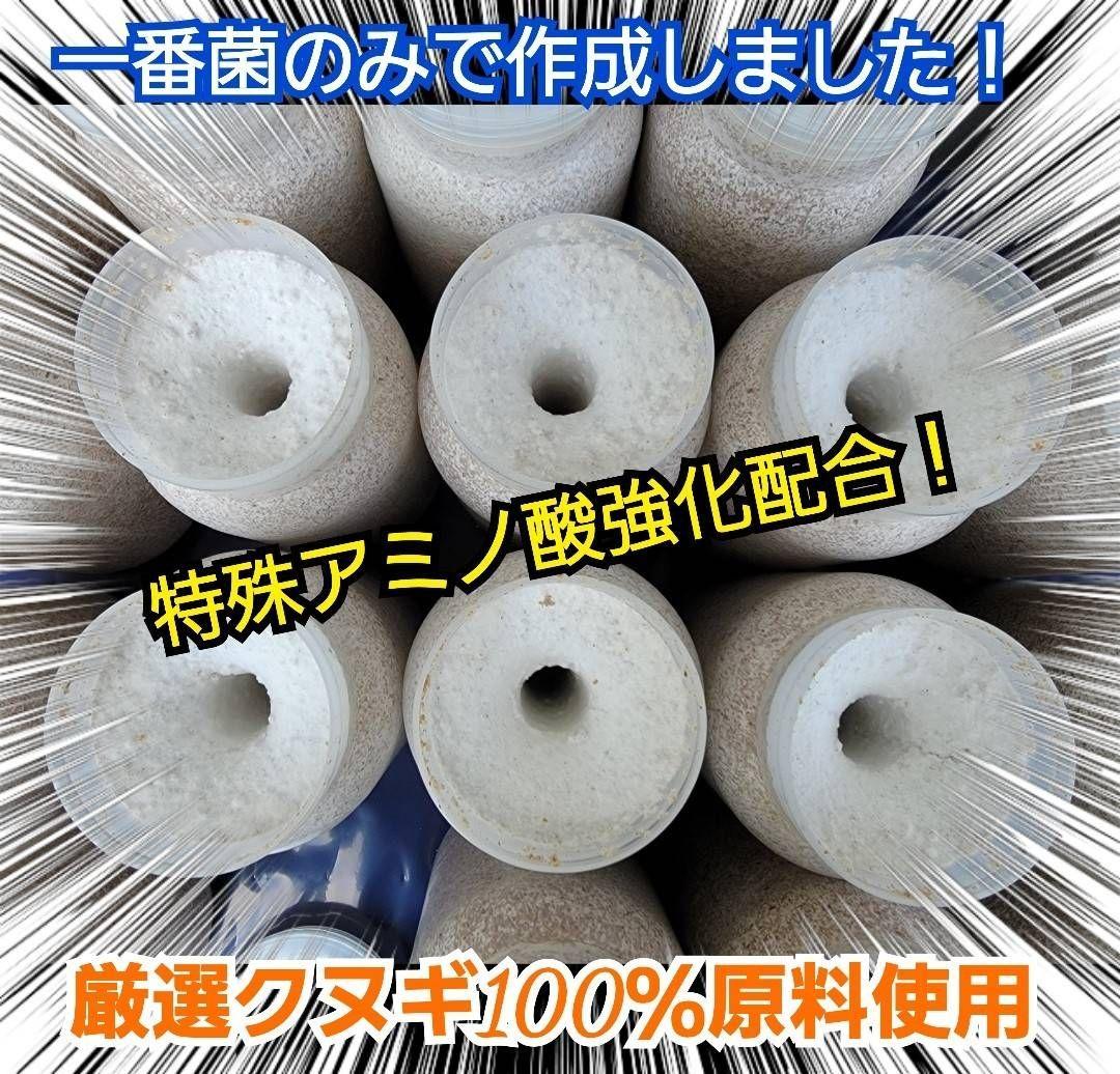 極上！オオヒラタケ菌糸瓶【8本】特殊アミノ酸強化！オオクワ、ヒラタ、ニジイロに！