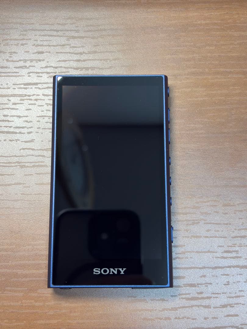 SONY WALKMAN NW-A307 ジャンク