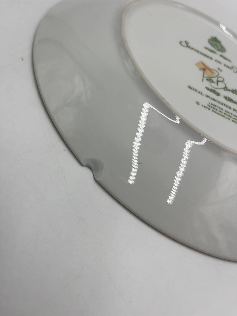 ロイヤルウースター  WORCESTER 12枚セット　飾り皿