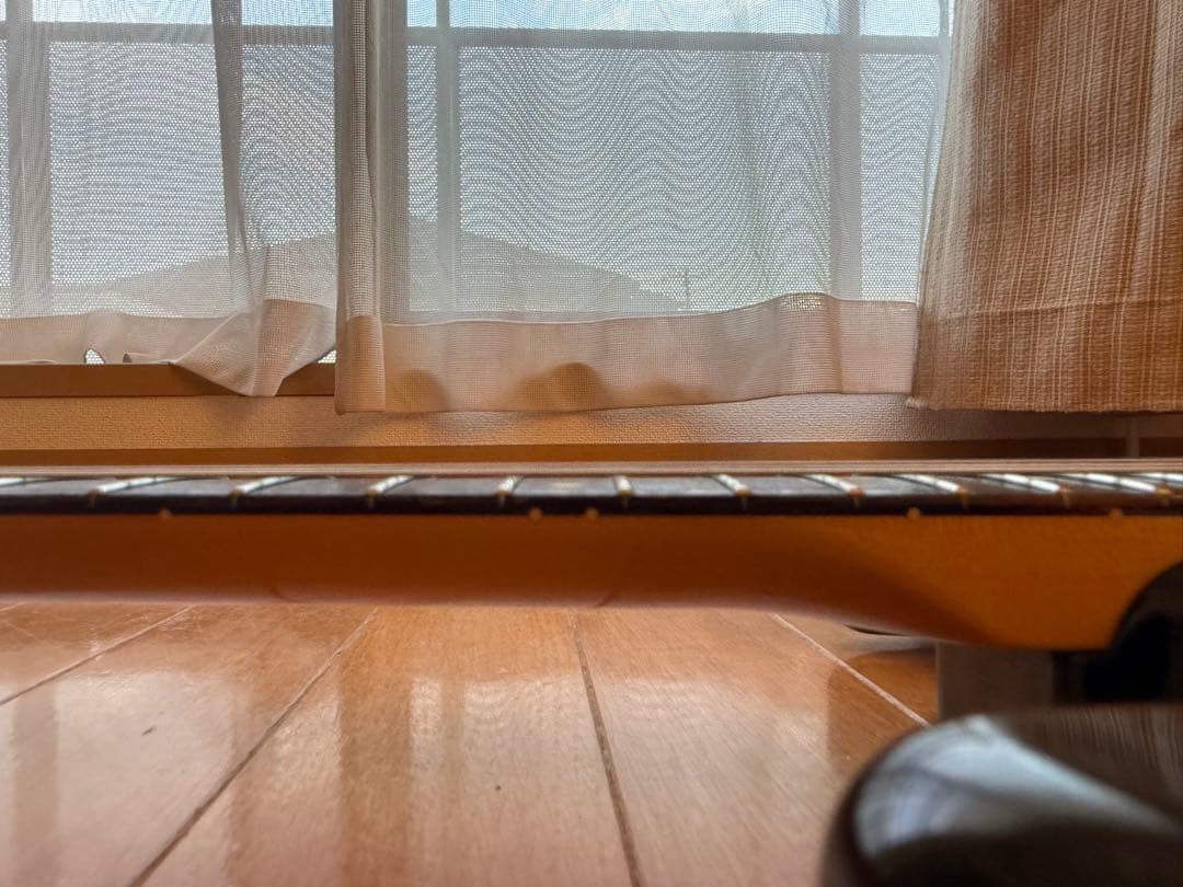 ✨レア美品中古✨Bill Lawrence OBC0 R-55G改 シャケモデル