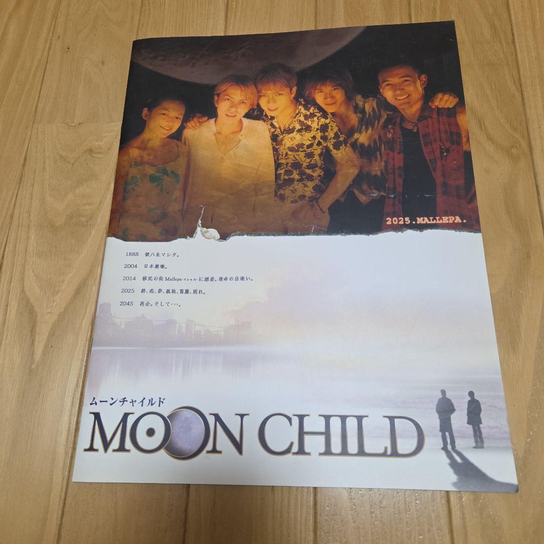 映画ムーンチャイルド　リバーシブルポスター　パンフレット　初回限定DVD　セット