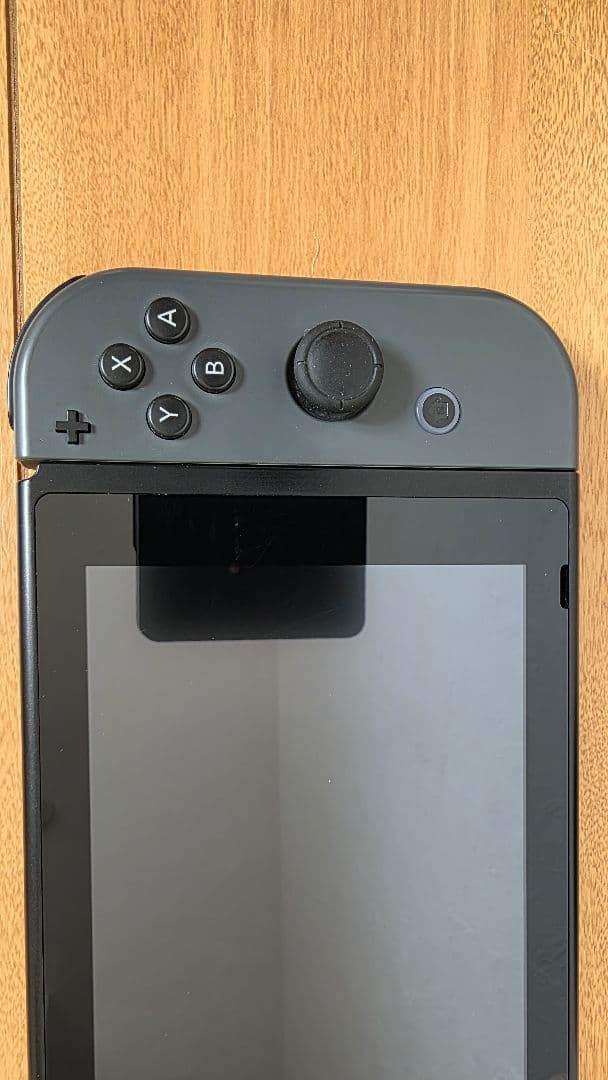 Nintendo Switch 本体 グレー （おまけ…プロコン付き）