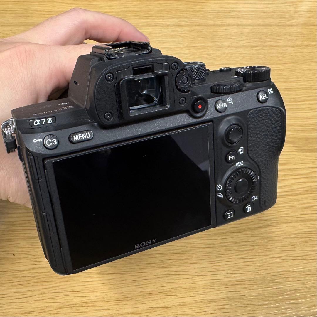 SONY α7 III + TAMRON 28-75mm F/2.8