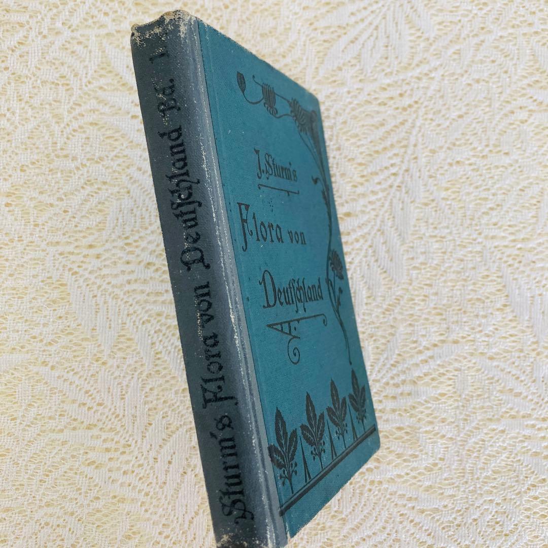 洋書　古書　ドイツのアンティーク植物図鑑　第1巻　精密で美しい植物画♡