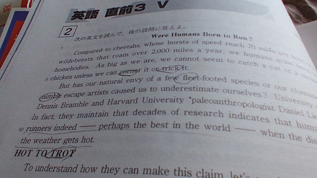 Z会　添削問題　東外大英語 2020 3月~2021 2月の1年間セット