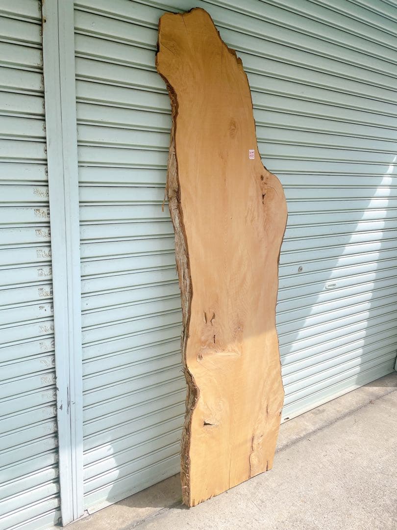 天然　イヌマキ　DIY材　木材　天板　テレビ台　無垢材　カウンターテーブル