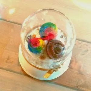 プリザーブドフラワーオルゴール　レインボーローズ＆チョコレートローズ　星に願いを