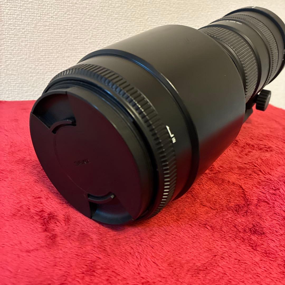 SIGMA 150-500mm F5-6.3 APO DG OS ニコン