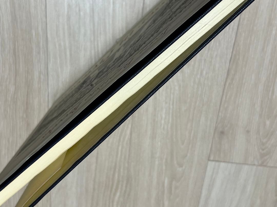 洋書『プロイセン国王陛下の宮殿および遊興の館の景観』by Broebes