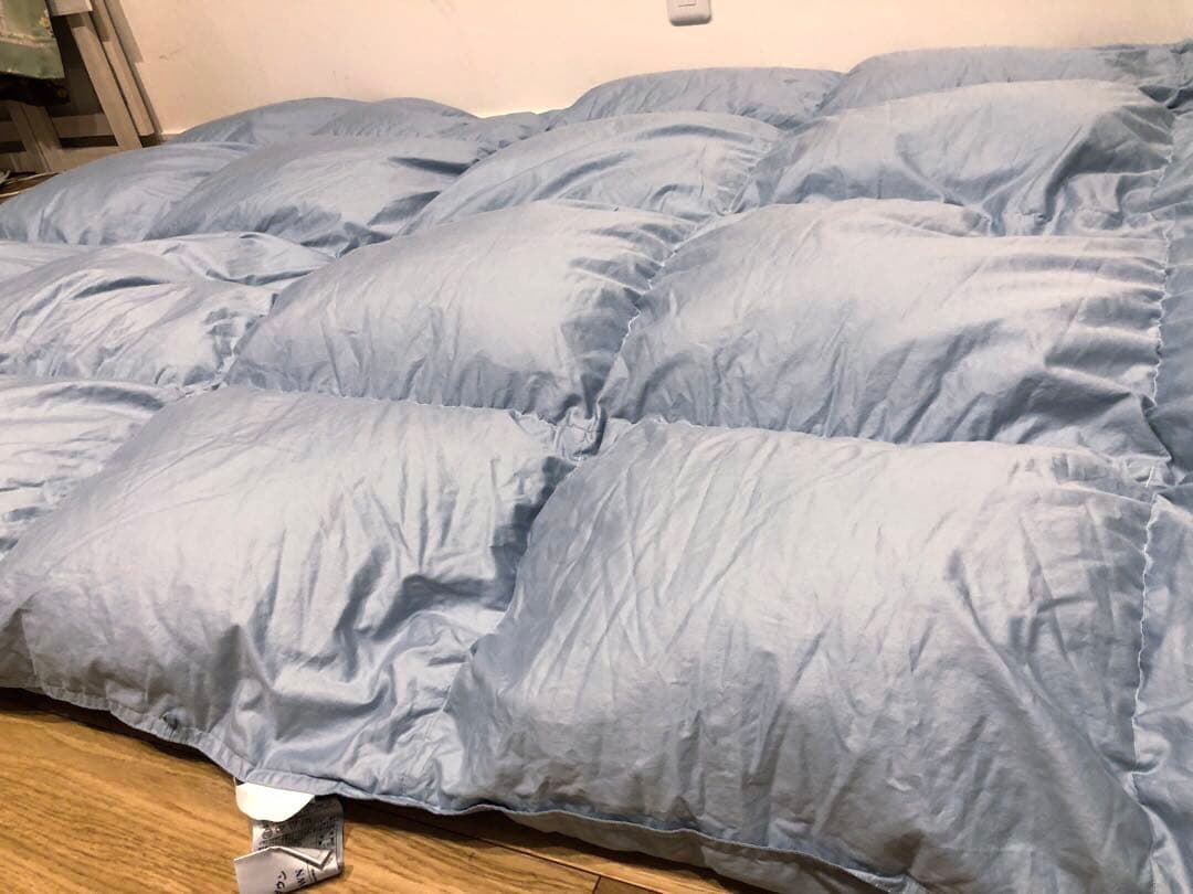 東京西川　シーアイランドコットン　シベリア産 マザーグースダウン93% 1.2k