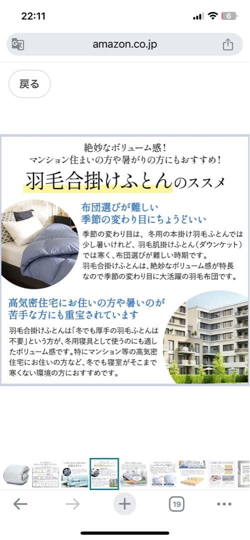 Showa Nishikawa 昭和西川ダウン掛け布団 グレー