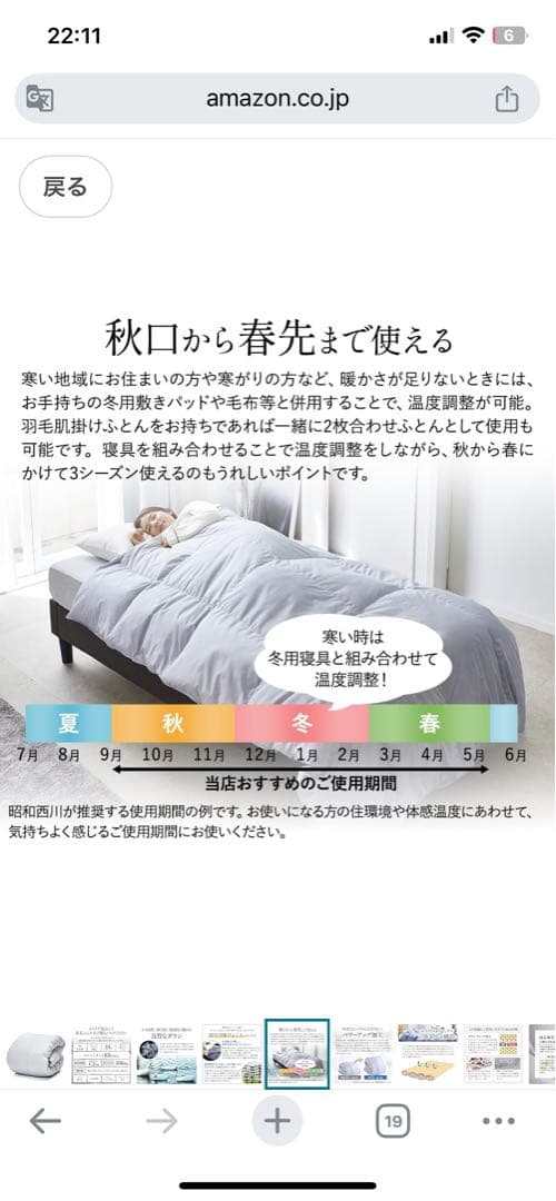 Showa Nishikawa 昭和西川ダウン掛け布団 グレー