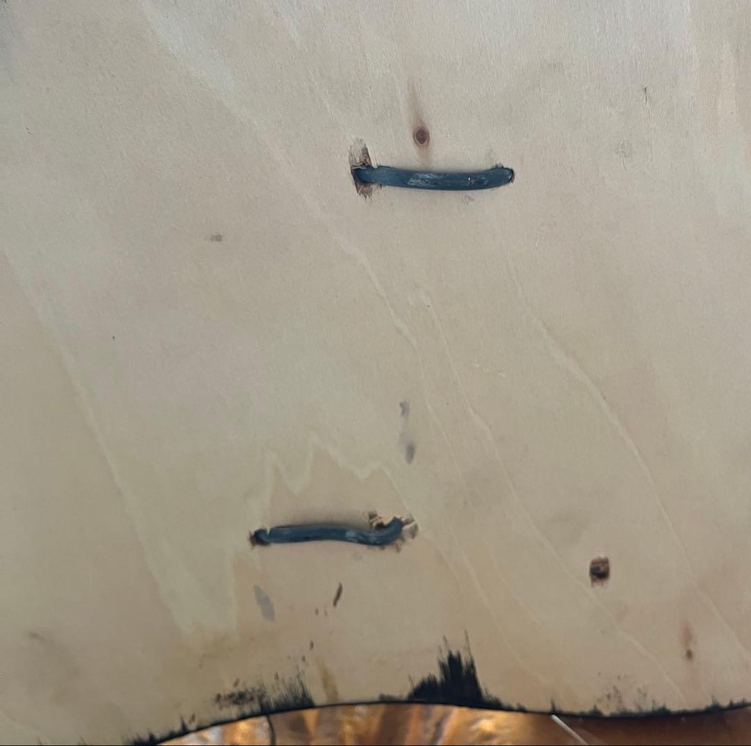 小鹿　子鹿　剥製　北海道より