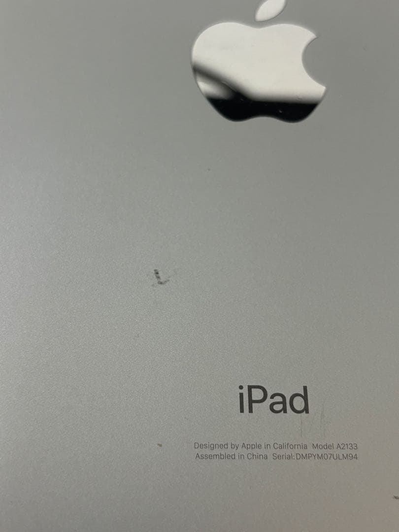 iPad mini 5 (第5世代) 64GB 保護フィルム、ケース付き