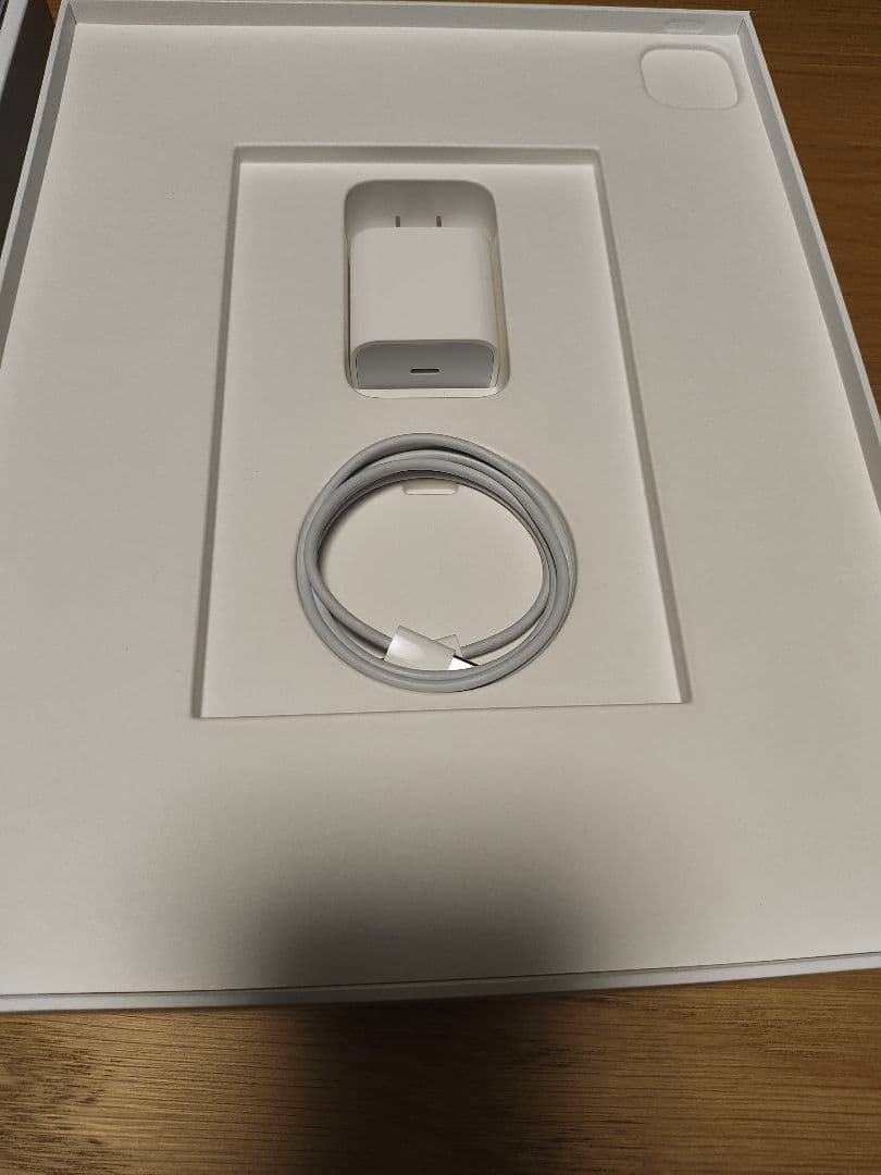 iPad Pro 12.9インチ 第5世代 256GB バッテリー99%