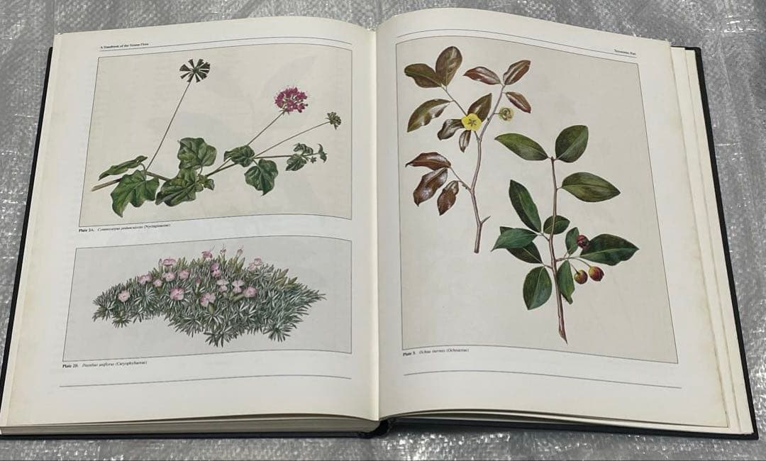 洋書 A handbook of the Yemen Flora