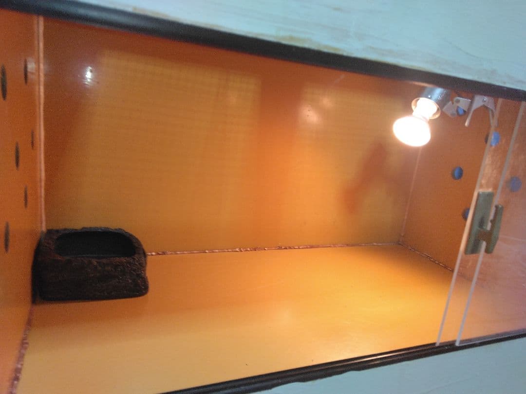 ラスト！特大木製爬虫類ケージ 内蔵ライト付き