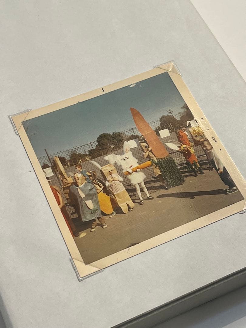 希少作品集　Christian Holstad 写真集　purple six