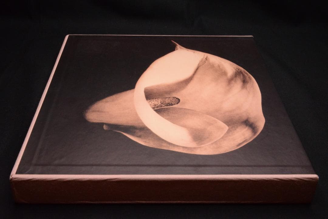 【 PISTILS】Robert Mapplethorpe★大幅に値下げしました