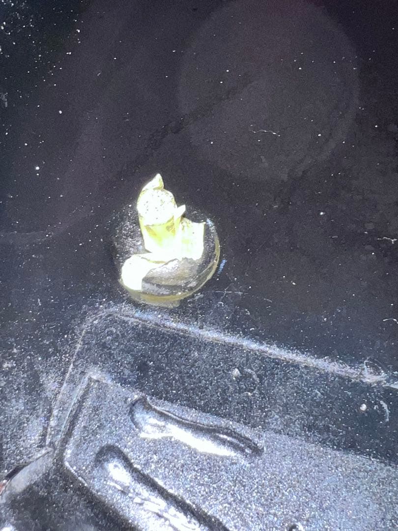 値下げ　GSX400インパルス　タンク 内部コーティング済み GK79A