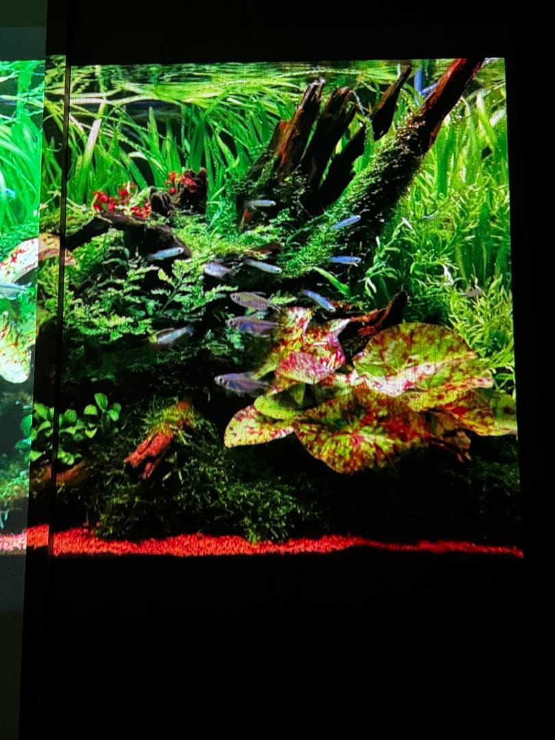 popIn Aladdin ポップインアラジン プロジェクター付シーリングライト