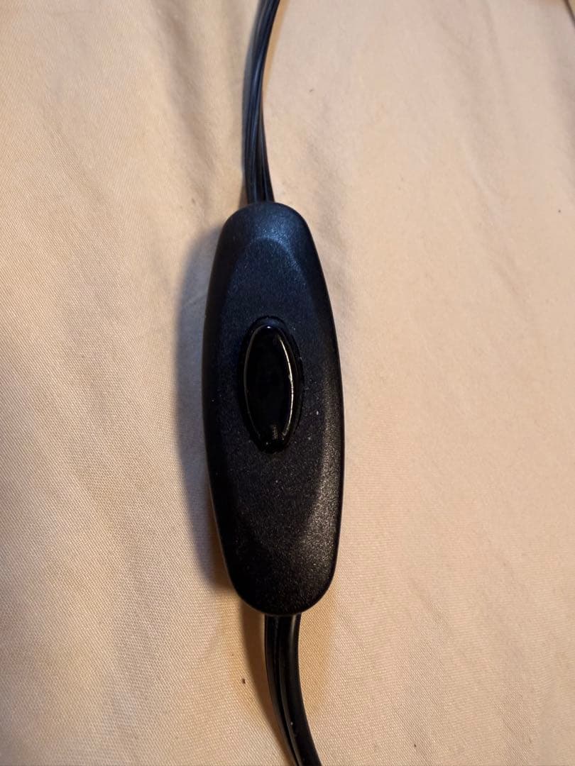 VINTAGE タイガーヘッド壁掛けライト