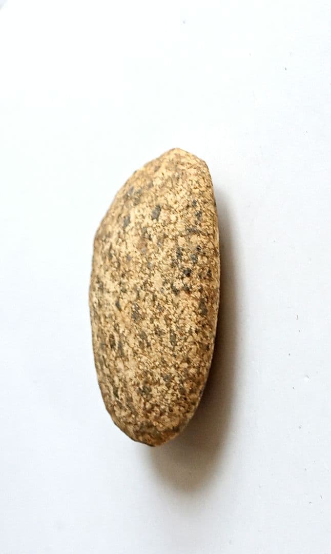 磨製石斧　完成出土品　堆積岩　磨き石