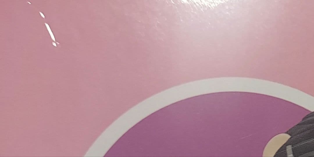 桜蘭高校ホスト部　鳳鏡夜　ねんどろいど　新品未開封　フィギュア