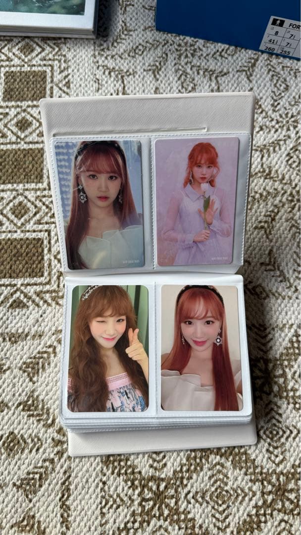 チェウォン トレカケース トレカ51枚セット 交通カード