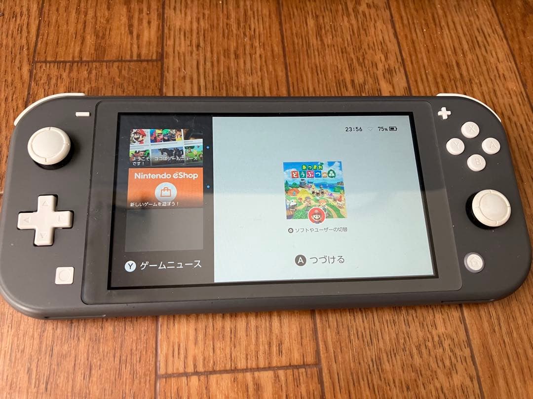 Nintendo Switch Lite グレー 本体　used