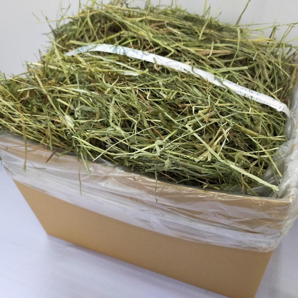 【家計応援価格】US産 チモシー 60kg ２番刈 ソフトSプレミアム